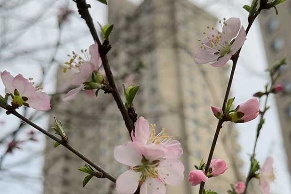 台州心理咨询师证怎么考 - 报考条件要求有哪些？