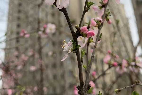 绍兴心理咨询师证怎么考 - 报考条件要求有哪些？