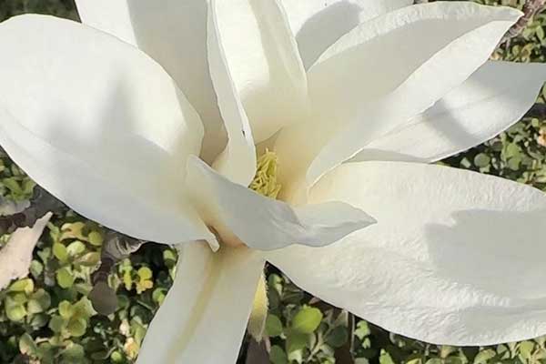 扬州心理咨询师证怎么考 - 报考条件要求有哪些？