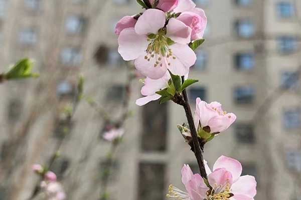 无锡心理咨询师证怎么考 - 报考条件要求有哪些？