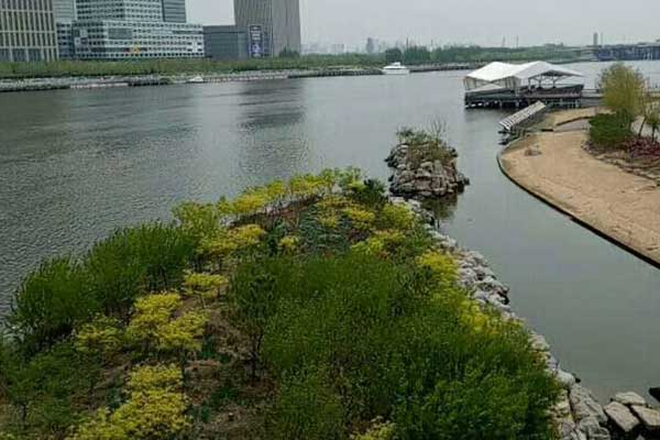 江阴心理咨询师证怎么考 - 报考条件要求有哪些？