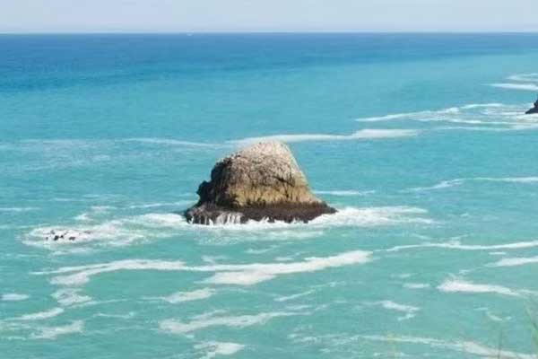 滁州心理咨询师证怎么考 - 报考条件要求有哪些？