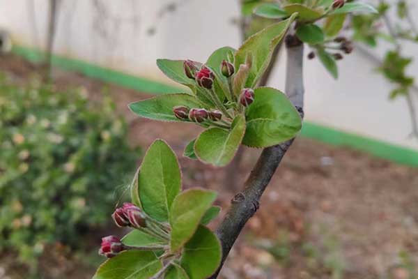 泉州心理咨询师证怎么考 - 报考条件要求有哪些？