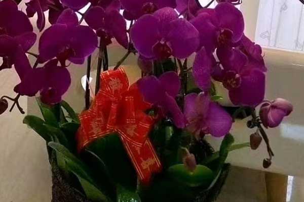 衡阳心理咨询师证怎么考 - 报考条件要求有哪些？