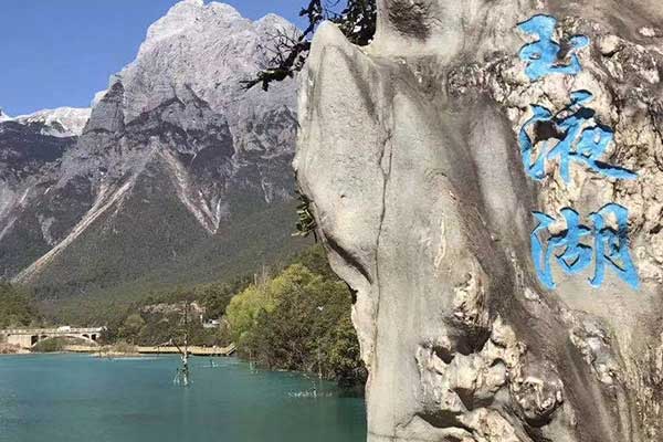 驻马店心理咨询师证怎么考 - 报考条件要求有哪些？