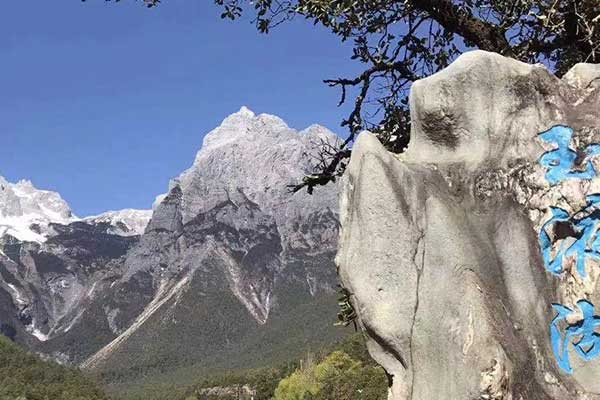 开封心理咨询师证怎么考 - 报考条件要求有哪些？