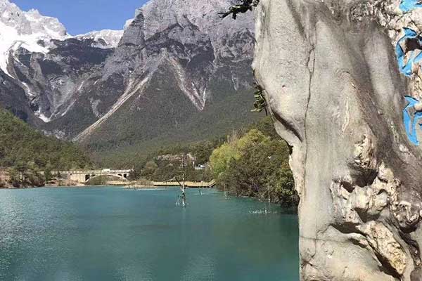 商丘心理咨询师证怎么考 - 报考条件要求有哪些？