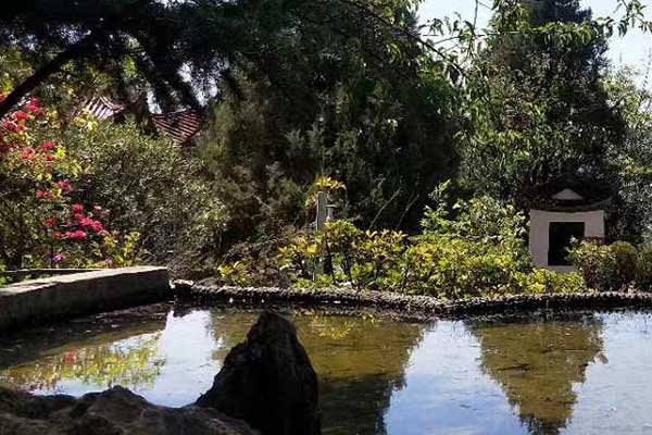 郑州心理咨询师证怎么考 - 报考条件要求有哪些？