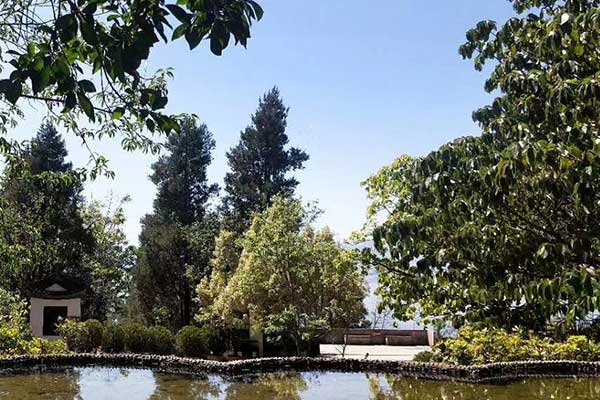 襄阳心理咨询师证怎么考 - 报考条件要求有哪些？