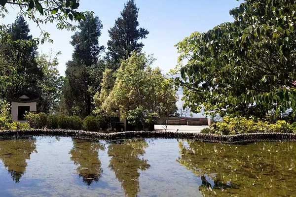 孝感心理咨询师证怎么考 - 报考条件要求有哪些？