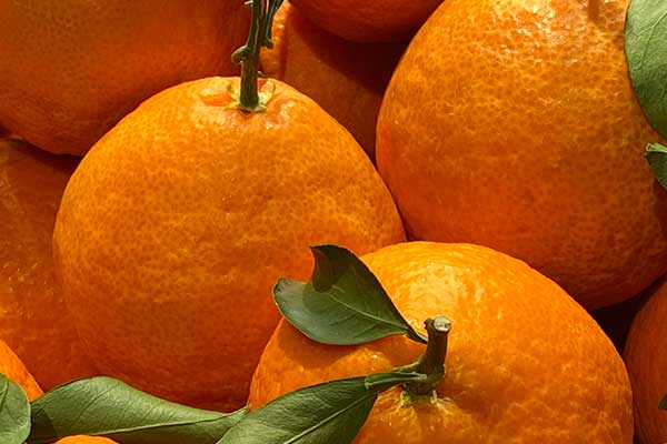 沧州营养师培训费用要多少 - 培训机构哪家好？