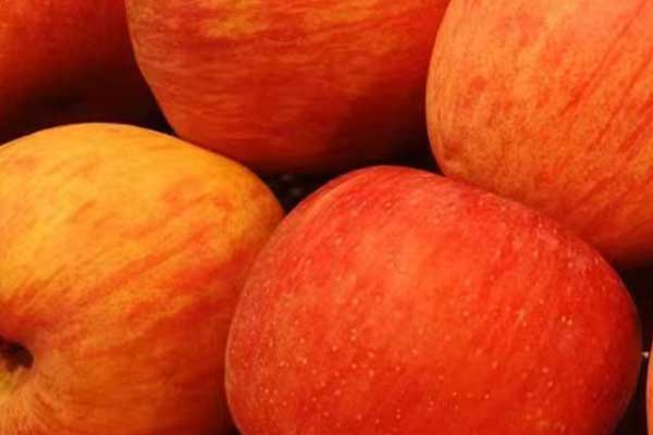 遵义营养师培训费用要多少 - 培训机构哪家好？