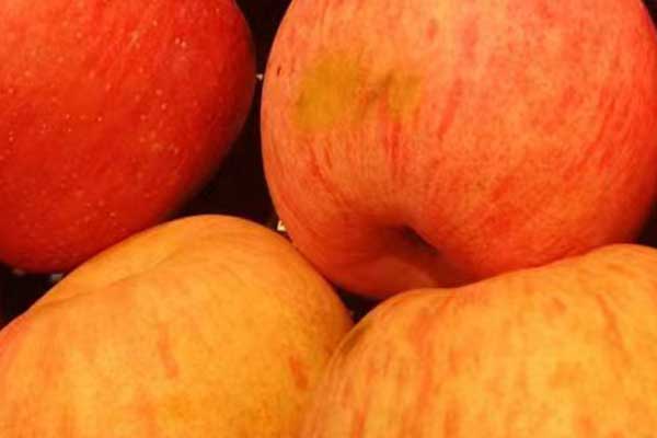 红河营养师培训费用要多少 - 培训机构哪家好？