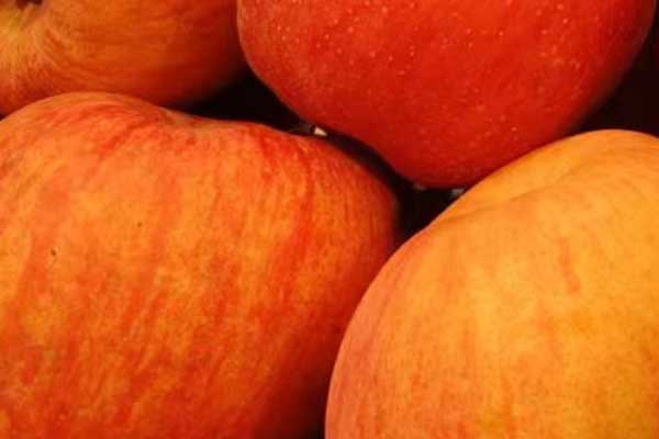 玉溪营养师培训费用要多少 - 培训机构哪家好？