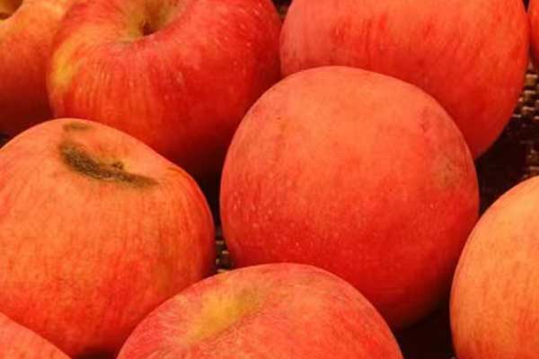 安康营养师培训费用要多少 - 培训机构哪家好？