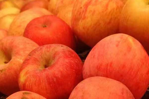 银川营养师培训费用要多少 - 培训机构哪家好？