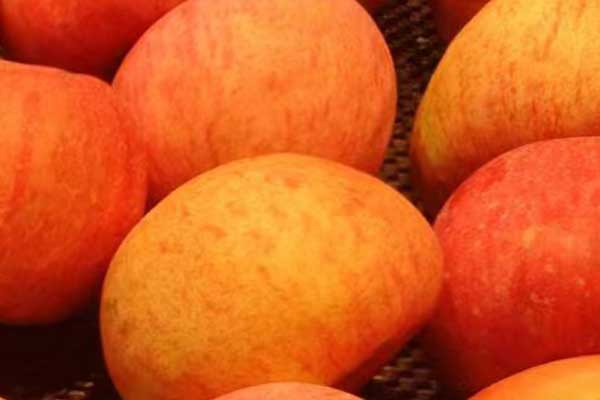 商洛营养师培训费用要多少 - 培训机构哪家好？