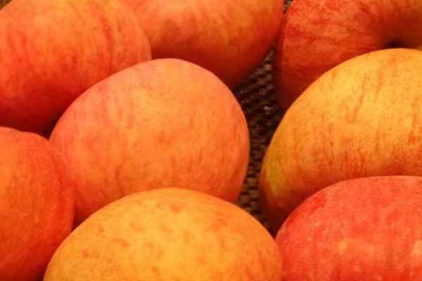 榆林营养师培训费用要多少 - 培训机构哪家好？