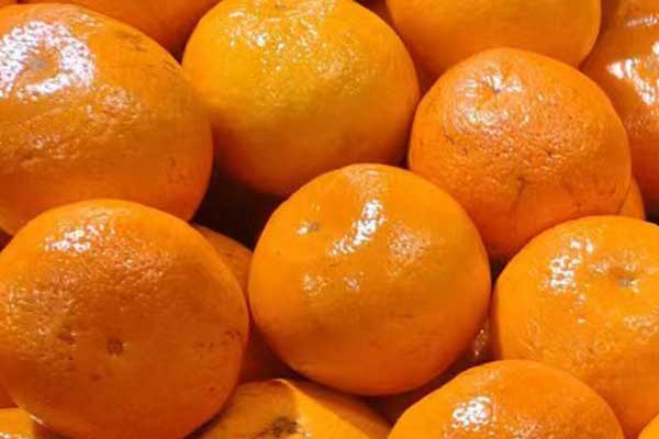 宝鸡营养师培训费用要多少 - 培训机构哪家好？