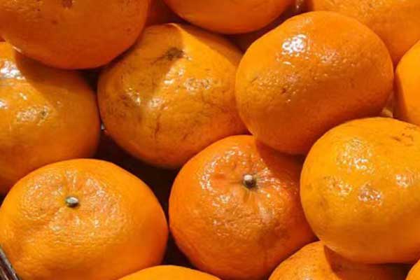 中卫营养师培训费用要多少 - 培训机构哪家好？