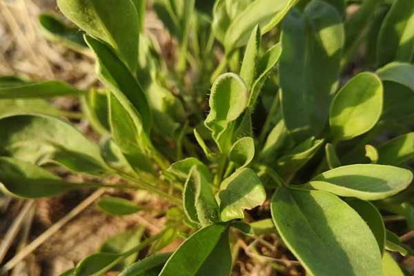 成都社会工作者培训机构哪家好？费用多少钱？