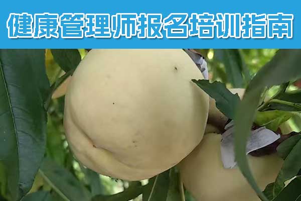 芜湖健康管理师证怎么考多少钱