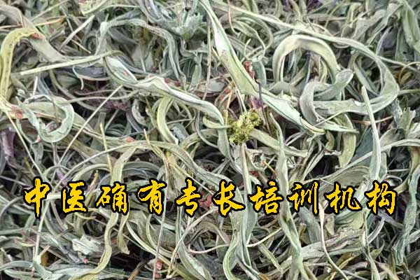 上海中医确有专长培训机构哪家正规 - 费用多少