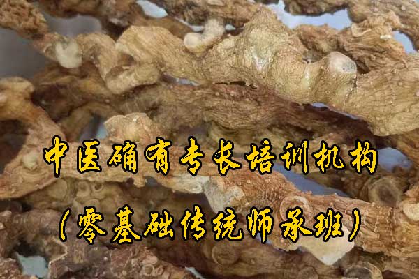 无锡中医确有专长培训机构哪家正规 - 费用多少