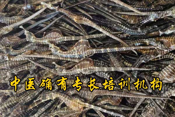 九江中医确有专长培训机构哪家正规 - 费用多少