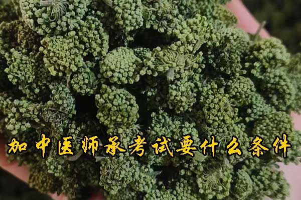 未标题-1.jpg