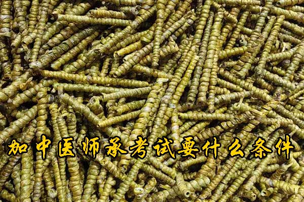 未标题-1.jpg