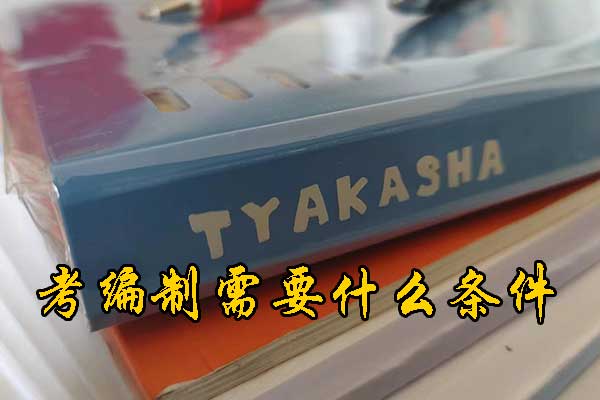 宿州考编制需要什么条件和学历