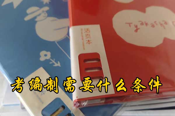 六安考编制需要什么条件和学历