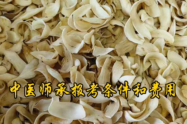 南昌中医师承报名资质及老师要求