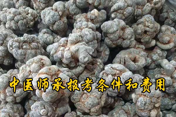 未标题-1.jpg
