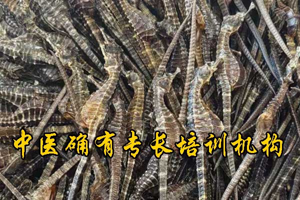 未标题-1.jpg
