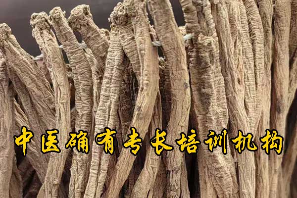 泰安中医确有专长培训机构哪家正规 - 费用多少