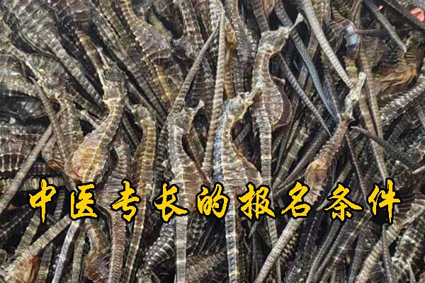 未标题-1.jpg