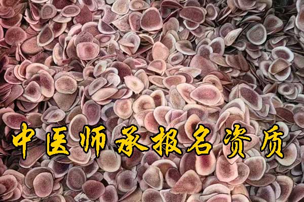 扬州报考中医师承需要什么条件