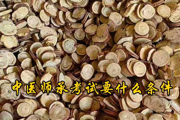 泰州参加中医师承考试要什么条件