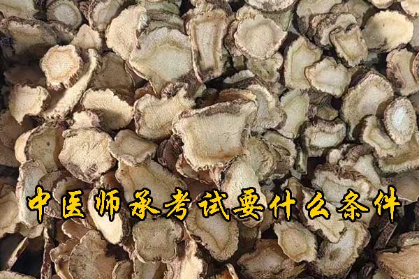 临沂中医师承报考条件和费用