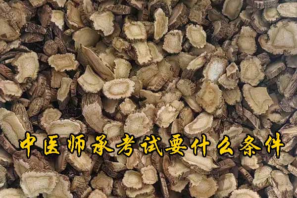 潍坊报考中医师承需要什么条件