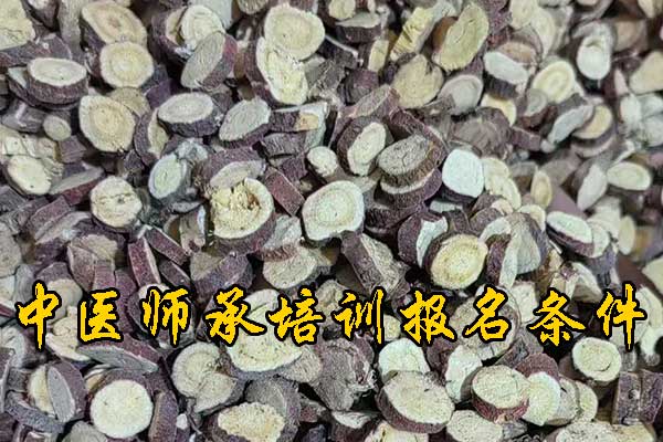 芜湖参加中医师承考试要什么条件