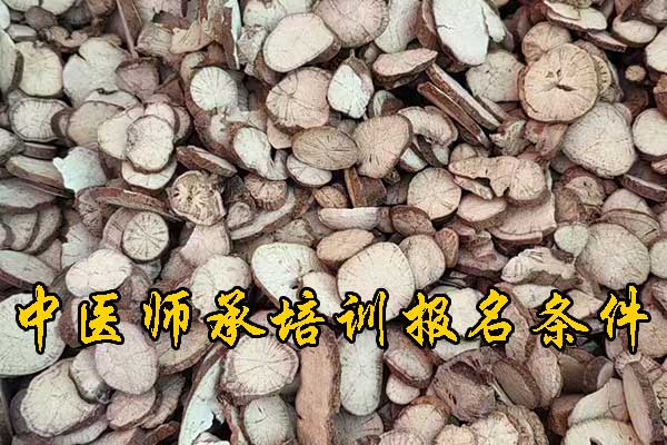 桂林中医师承报考条件和费用