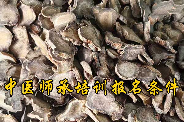 漳州中医师承报名资质及老师要求