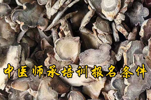 赣州报考中医师承需要什么条件