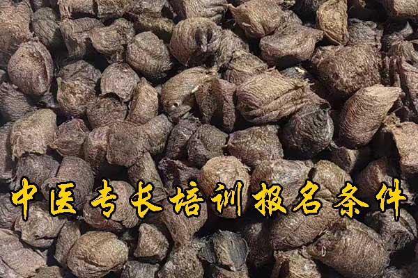 广西中医专长证报名条件及费用