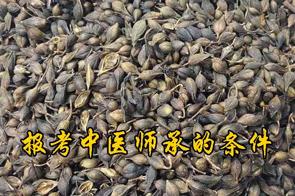 未标题-1.jpg