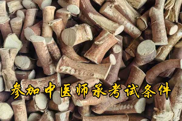 鞍山报考中医师承需要什么条件