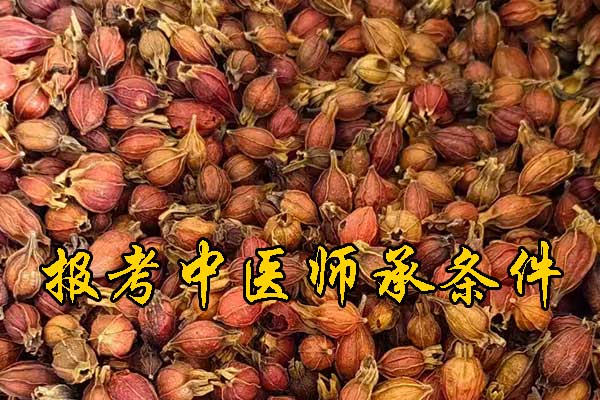 南平中医师承报名资质及老师要求